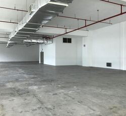Serangoon North Avenue 5 (D19), Factory #479080001